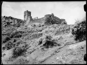 Spitz: Ruine Hinterhaus