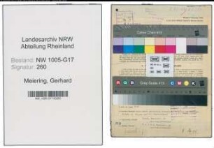 Entnazifizierung Gerhard Meiering , geb. 02.02.1910 (Buchhalter)