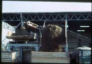 Erdkippanlage während der Entladung; Weidensdorf 1978