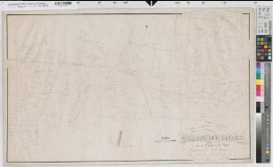 Altenberge (Altenberge), Teilung des Waltruper Feldes, Bl. 3 Brouillonkarte