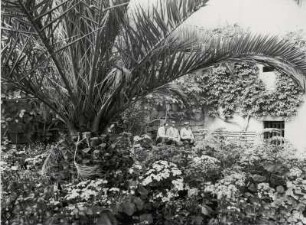 Einheimische im subtropischen Garten von Zejtun