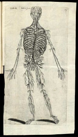 Tab.II. Lib VI. p.139