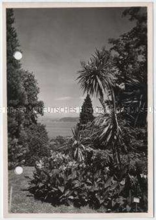 Konstanz, Mainau