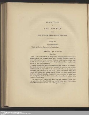 VI. Descriptions Of The Fossils From The Eocene Deposits Of Bognor