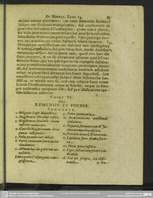 Caput VI. De Remediis Et Poenis