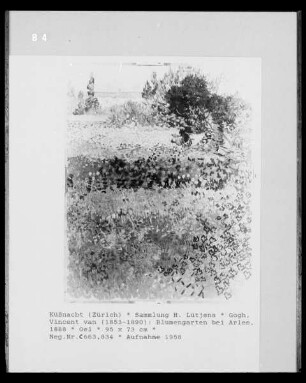 Blumengarten bei Arles