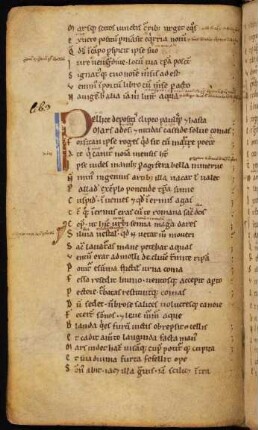 Initiale P, gespalten