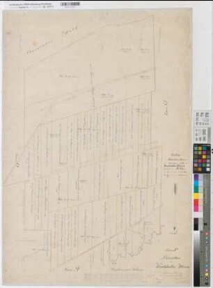 Kirchhellen (Bottrop), Teilung der Kirchheller Mark, Bl.15 Brouillonkarte Sektion P