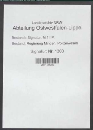 Dienstaufsicht, Allgemeines