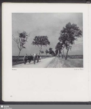 Straße bei Verden