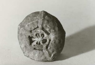 Seeigel (Cidaris subvesiculosa D'ORB) vom Schandauer Schlossberg (Mittelturon). Bad Schandau: Heimatmuseum