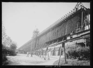 Bad Kösen. Gradierwerk