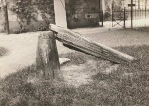 Deutschland. Verkieselter tertiärer Cypressenstamm aus der Braunkohle von Halle