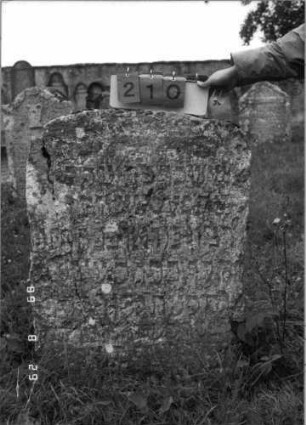 Grabstein 210 (Index: 100107531) Material: Kalkstein Zustand: stark verwittert, weitgehender Textverlust, gesprungen Maße HxBxT: 108x79x20 cm Beschreibung: Stele mit Korbbogenabschluß: Grabstein 210