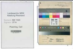 Entnazifizierung Carl Plueming , geb. 23.09.1890 (Schlosser)