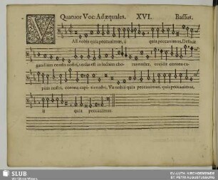 XVI. Vae nobis quia peccavimus