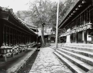 Nara, Japan. Heilige Laternen im Kasuga-Taisha Schrein