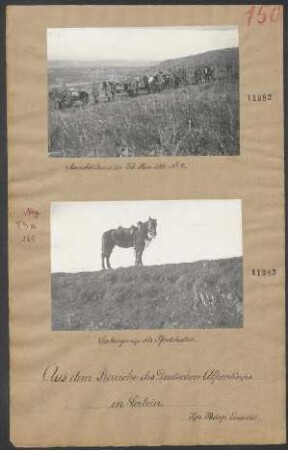 Serbenjunge als Pferdehalter
