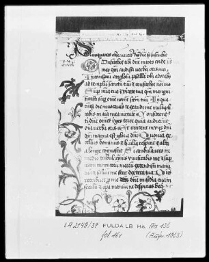 Liturgische Sammelhandschrift — ---, Folio 16 versoTextblatt