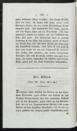 Taf. XII. Fig. 56. - 59. Die Esthen