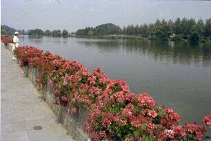 Kitzingen: Kai, Vordergrund Blumenanlagen