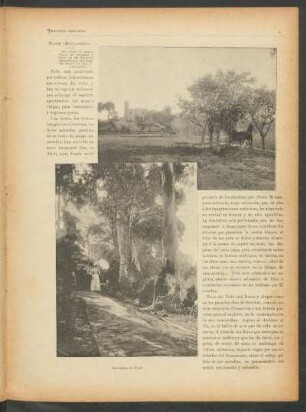 Desde "Monasterio"