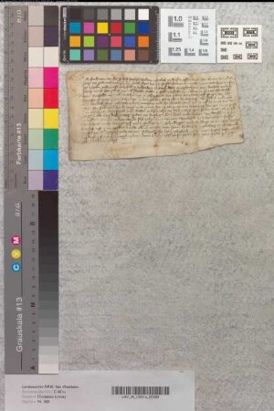 Revers des Gerd von Werderinghausen [Werdinghausen] in Betreff der Lehngüter zu Stahle und Albaxen.
