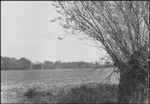 Marienwerder, Hopfengarten