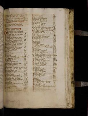 Registrum. Sequuntur rubrice huius. De miraculis divina operatione fratris I …