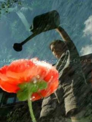 Junge Frau gießt eine rote Blume aus starker Untersicht fotografiert (Prämiertes Foto ZD)