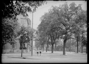 Zeppelinstr. Ecke Kastanienallee, Blick Richtung Osten