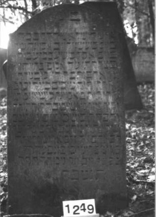 Grabstein 1249 (Index: 99900056) Material: Sandstein Zustand: leicht angewittert? Maße HxBxT: 132x72x12 cm Beschreibung: Stele mit Konvexbogenabschluss: Grabstein 1249