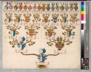 Proband: Vogt von Elspe, Konrad Wilhelm; Vater: Vogt von Elspe, Johann Bernhard; Mutter: Broel gen. Plater, Mechtild Catharina von dem: Mark, Grafschaft, Ritterschaft