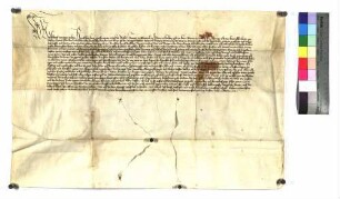 König Albrecht II. bestätigt die Freiheiten der Reichsstadt Giengen.