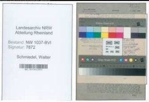 Entnazifizierung Walter Schmiedel , geb. 08.10.1913 (Arbeiter)