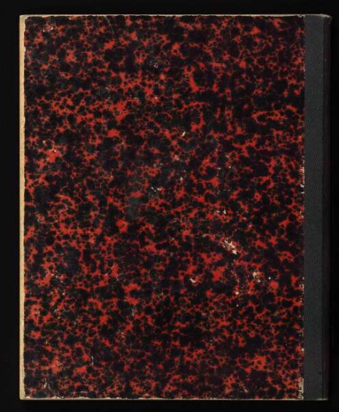 Entwürfe zu Veröffentlichungen über die Tendaguru-Expedition 1911