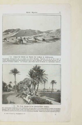 23. Dünen bei Biskra am Rande der Sahara in Südalgerien