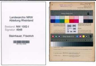 Entnazifizierung Friedrich Steinhauer, geb. 02.01.1919 (Kaufm.Angest.)