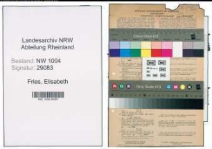 Entnazifizierung Elisabeth De Fries , geb. 13.05.1899 (Postassistentin)