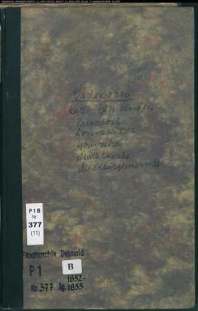 Kirchenbuchduplikat der katholischen Gemeinden in Paderborn, Kreis Paderborn (GHT 1852-1854). (Gemeinde: Katholische Gemeinden Paderborn )