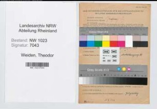Entnazifizierung Theodor Weiden , geb. 09.11.1890 (Schuhaendler)