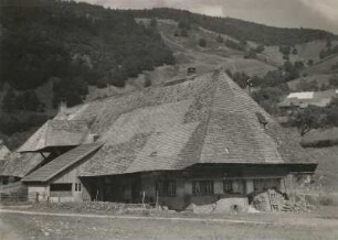 Bauernhaus, Todtnau