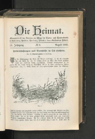 13. Jahrgang. No. 8. August 1903.