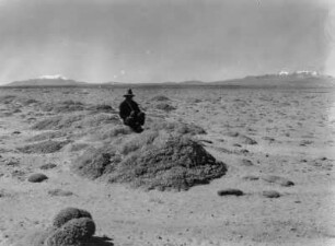 Landschaft der Pampa : Höckerige Kalkkrusten in der Pampa zwischen Uyuni und Salinas de Garcí Mendoza mit gemischtem Gesträuch (Selaginella lepidophylla, Caesalpinia spinosa).