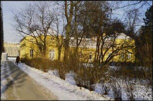 Potsdam, Park Sanssouci, Allee an Grünen Gitter im Winter.
