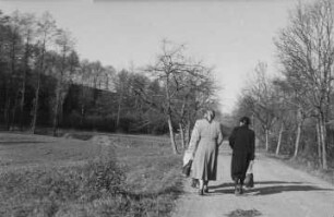 Wilsdruff-Mohorn. Die Triebischtalstraße von Herzogswalde nach Helbigsdorf bei der Semmelmühle (Aufnahme Martin Risse)