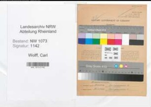 Entnazifizierung Carl Wolff , geb. 29.08.1891 (Vertreter)