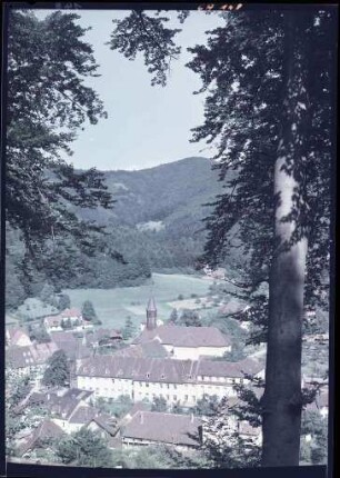 Das ehemalige Zisterzienserinnenkloster in Günterstal