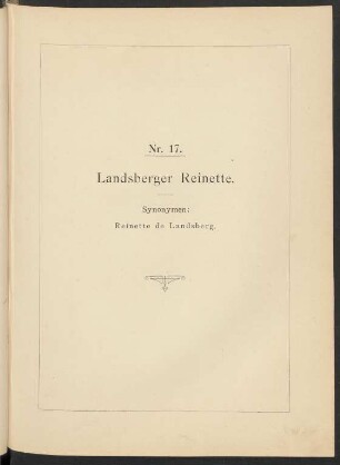 Nr. 17. Apfel: Landsberger Reinette