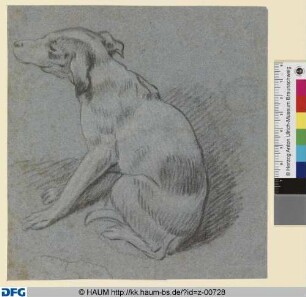 Sitzender Jagdhund